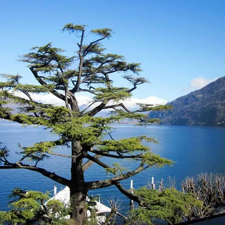 Locazione Turistica La Torretta Apartment Bellano